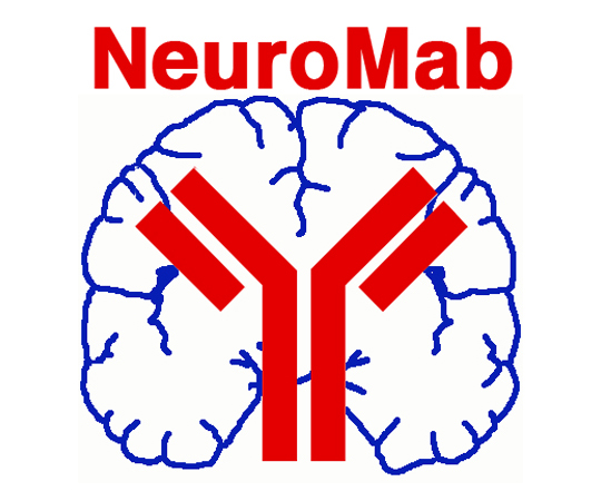 【冷凍】【冷凍】NeuroMab89-0118-27　一次抗体（NeuroMab） Cav1.2 Ca2+ channel　75