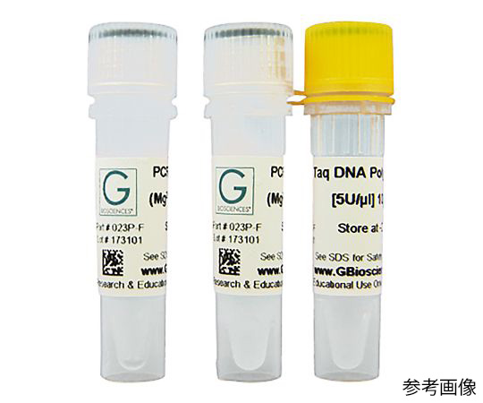 【冷凍】【冷凍】G-Biosciences89-5261-64　Taq DNA ポリメラーゼ 酵素+10XPCRバッファータイプ