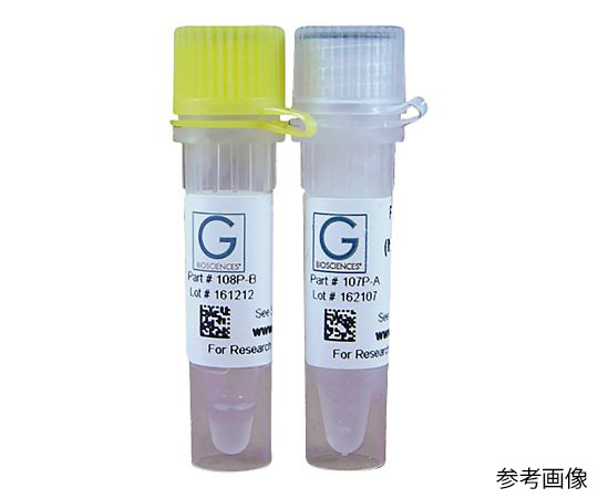 【冷凍】【冷凍】G-Biosciences89-5261-65　Taq PLUS DNAポリメラーゼ 酵素+バッファータイプ　7