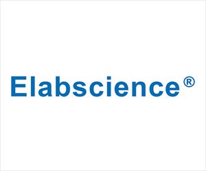 【冷蔵】89-8143-76 Human IL-8(Interleukin 8) ELISA Kit E-EL-H6008Ela