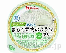 (E0845)やさしくラクケアまるで果物のようなゼリーメロン/8382460g(cm-291194)【販売単位:1】