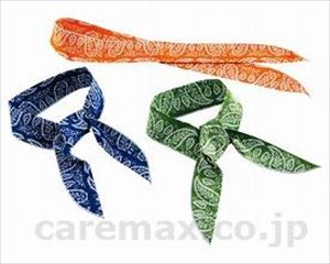 【※WEB販売不可】【※取り寄せ・送料別途】LOGOSクールスカーフ / No.81690001 ブルー(cm-306833)[