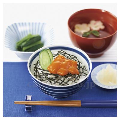 (E1279)ジャネフ ごはんにあうソース うに風味 / 011196 10g×40袋【販売単位:1】(cm-324968)(c