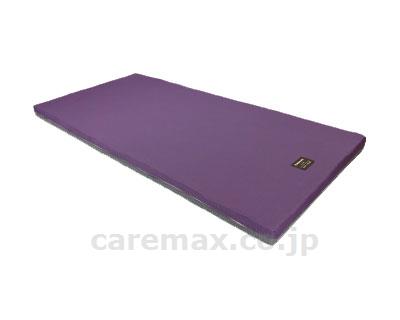 【※廃盤予定】【※法人・施設限定・送料別途】快眠マットレス ステラフィット ナローショート / PN-S120004(cm-32