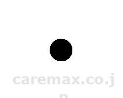 ケアスロープ用パッド/10枚入(cm-330093)【販売単位:1】