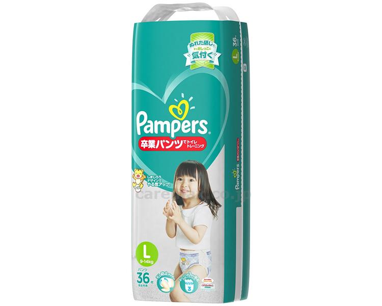 パンパース卒業パンツ L / 36枚【販売単位:1】(cm-342145)(cm-342145)[1袋]