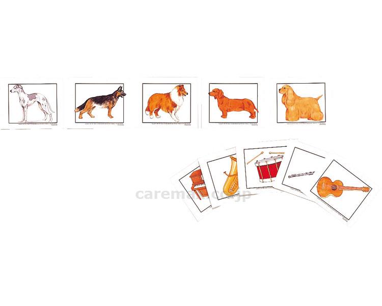 組合せ絵カードⅤ/M14290/943(cm-346813)【販売単位:1】