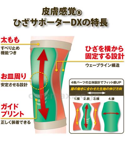 【※定価販売厳守・価格統制】(H0853)皮膚感覚ひざサポーターDX 1枚入 / 132531 LL ベージュ【販売単位:1】(