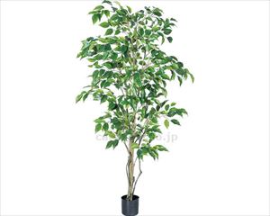 【※取り寄せ・送料別途】人工観葉植物　ファイカスツリー / A-50858(cm-459390)[個]
