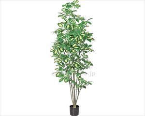 【※法人・施設限定・送料別途】人工観葉植物　シェフレラ / A-50860(cm-459391)[個]