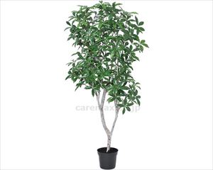 【※法人・施設限定・送料別途】人工観葉植物　ローレルツリー / A-50913(cm-459394)[個]