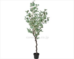 【※法人・施設限定・送料別途】人工観葉植物　ユーカリ / A-50967(cm-459397)[個]