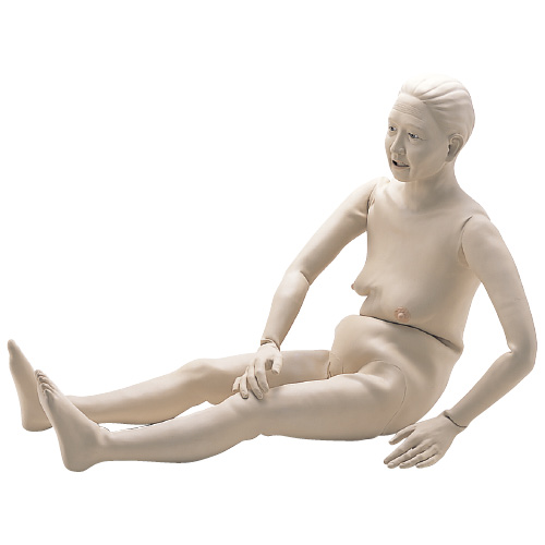 坂本モデル かつら（Ｍ１００－５用） ｶﾂﾗ【1個単位】(11-2715-01)