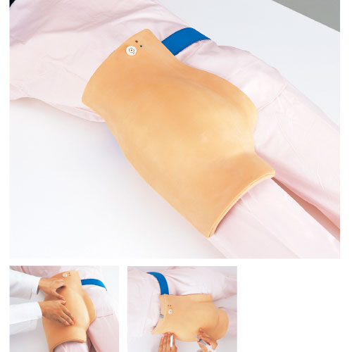 殿部筋肉内注射シューミレーター チュウシャシュミレーター(15-3015-00)M153 (デンチュウクン)