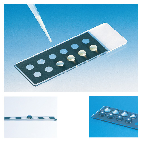 高撥水性印刷スライドグラス８穴φ８ ｺｳﾊｯｽｲｾｲｲﾝｻﾂｽﾗｲﾄﾞｸﾞﾗ(23-5049-02)26X76MM(100ﾏｲ)