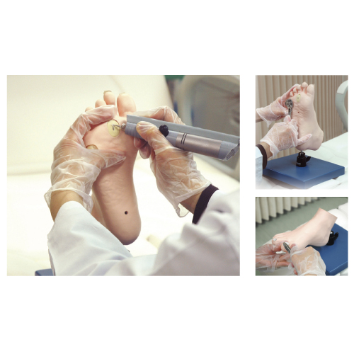 メディカルフットケアモデルフッティー11273-000ﾒﾃﾞｨｶﾙﾌｯﾄｹｱﾓﾃﾞﾙﾌｯﾃｨ-(23-6531-00)