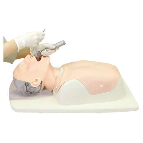 京都科学 ＤＡＭシミュレーター DAMｼﾐﾕﾚｰﾀｰ 11392-000(24-2805-00)【1組単位】