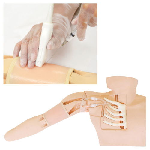 京都科学 ＰＩＣＣシュミレーター PICCｼｭﾐﾚｰﾀｰ 11398-000(24-2806-00)【1組単位】