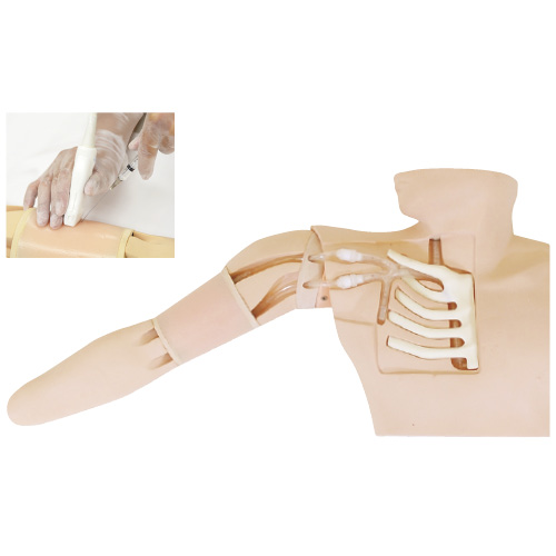 京都科学 ＰＩＣＣシュミレーター用穿刺パッド PICCｼｭﾐﾚｰﾀﾖｳｾﾝｼﾊﾟｯﾄﾞ 11398-010(2ｺ)(24-2806-01)【1袋単位】