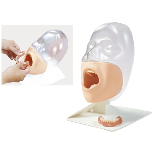 京都科学 口腔ケアモデルセイケツくん交換用義歯 ｾｲｹﾂｸﾝｺｳｶﾝﾖｳｷﾞｼ 11277-020(24-2997-01)【1個単位】