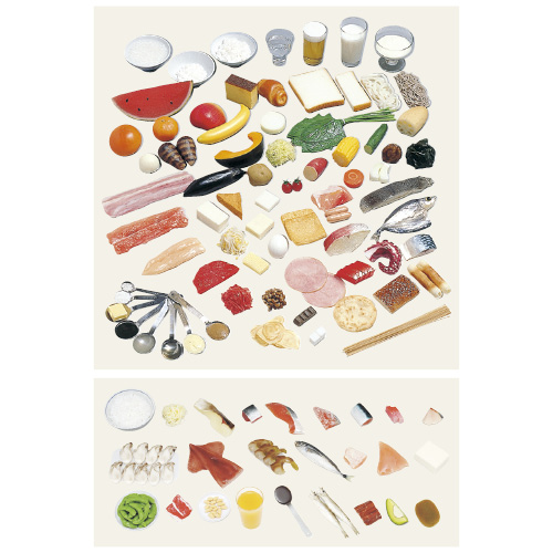 イワイサンプル 糖尿病指導キット単品・キウイフルーツ タンピン・キウイフルーツ 16-100(90G)(24-4509-00)【1個単位】