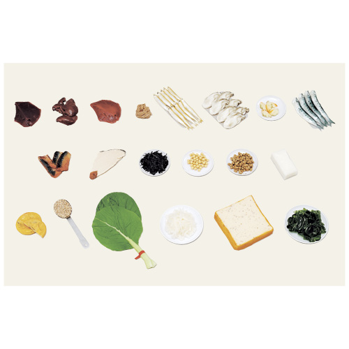 鉄分を多く含む食品モデル（２０品） 70-A(ｼﾞｼｬｸﾂｷ) ﾃﾂﾌﾞﾝｦｵｵｸﾌｸﾑﾓﾃﾞﾙ20ﾋﾝ(24-4512-00)【イワイサンプル】[1組単位]