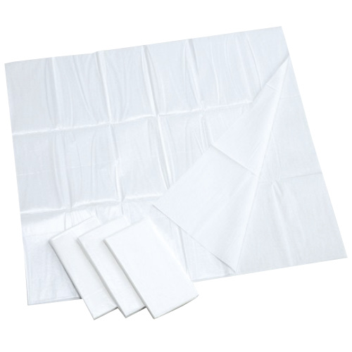 ストレッチャーシーツ ASS-1020(10ﾏｲX5ﾌｸﾛ) ｽﾄﾚｯﾁｬｰｼｰﾂ(24-4955-00)【アイテックス】[1箱単位]