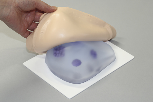 乳がん触診モデル交換用カバーBMC-03K(BMC-03ﾖｳ) ﾆｭｳｶﾞﾝｼｮｸｼﾓﾃﾞﾙｶﾊﾞｰ(レジーナ)(24-6961