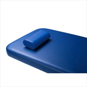 CS用枕（S）オーシャンブルー【タカラベルモント】(EX-CS-MS)(24-7294-10-06)【1単位】(タカラベルモント