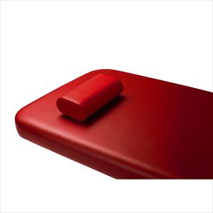 CS用枕（S）レッド【タカラベルモント】(EX-CS-MS)(24-7294-10-12)【1単位】(タカラベルモント)[]
