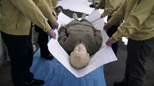 ＣＡＰディスポストレッチャーシーツSSK-101(10ﾏｲｲﾘ) CAPﾃﾞｨｽﾎﾟｽﾄﾚｯﾁｬｰｼｰﾂ(エアーストレッチャー)(24-7380-00)【1箱単位】