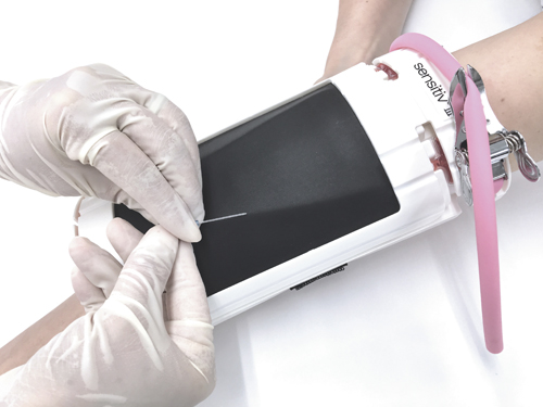 センシティブⅢ採血静脈注射練習キットKCC-B18-00 ｾﾝｼﾃｨﾌﾞ3(ケー・シー・シー・商会)(24-7807-00)【1