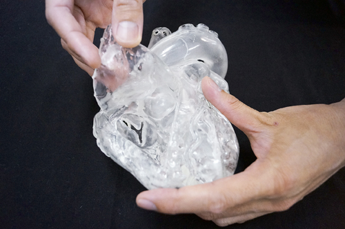 ＣａｒｄｉｏＭｏｄｅｌＥＶ（成人正常XC-04T(ﾊﾝﾄｳﾒｲ) ｶｰﾃﾞｨｵ ﾓﾃﾞﾙ E.V.(クロスメディカル)(24-7