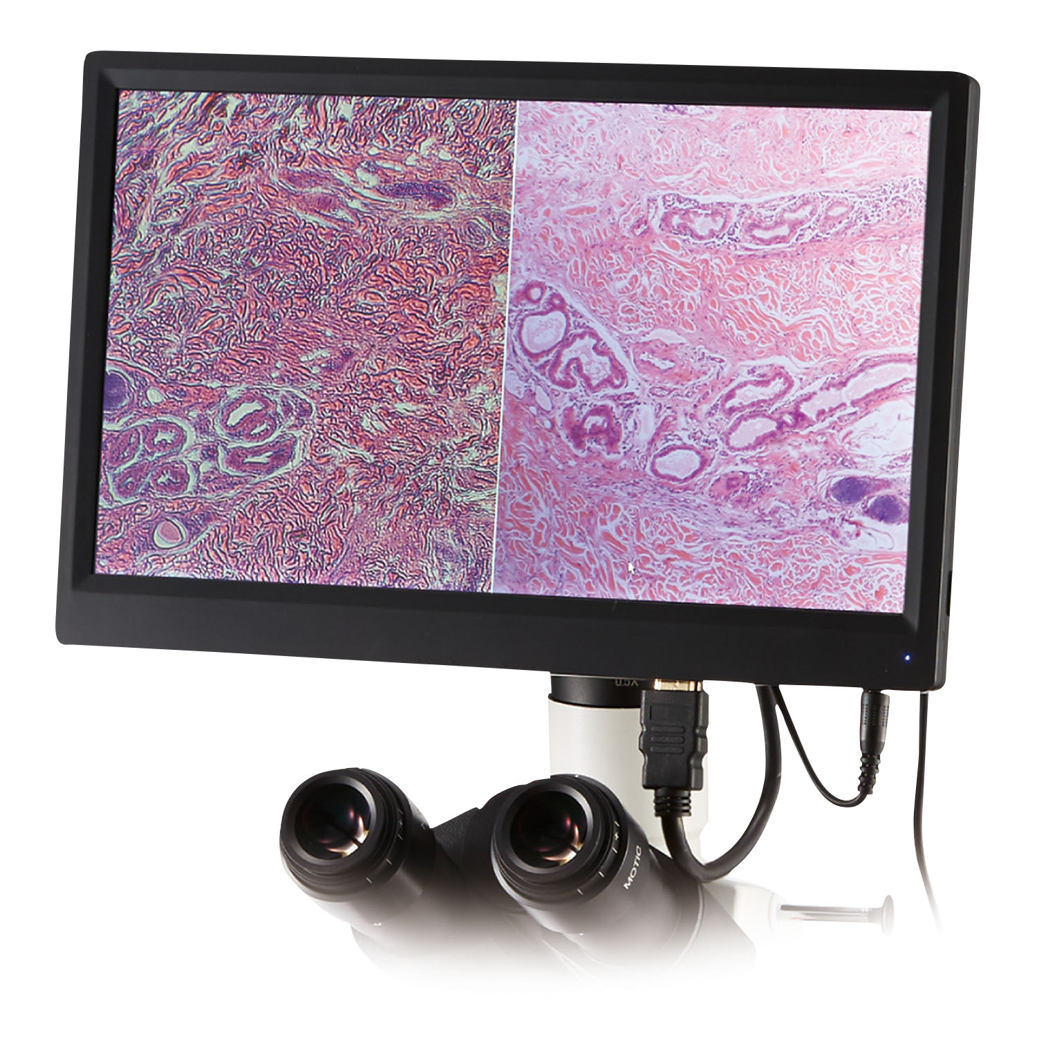 【※都度見積商品】顕微鏡デジタルカメラシステム BMH-1080MBMH-1080M(24-7973-03)【島津理化】(販売単位:1)