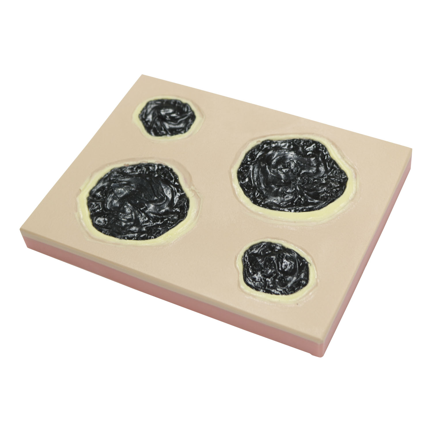 褥瘡切除モデル BBS-18BBS-18(24-8252-00)【レジーナ】(販売単位:1)(レジーナ)[]