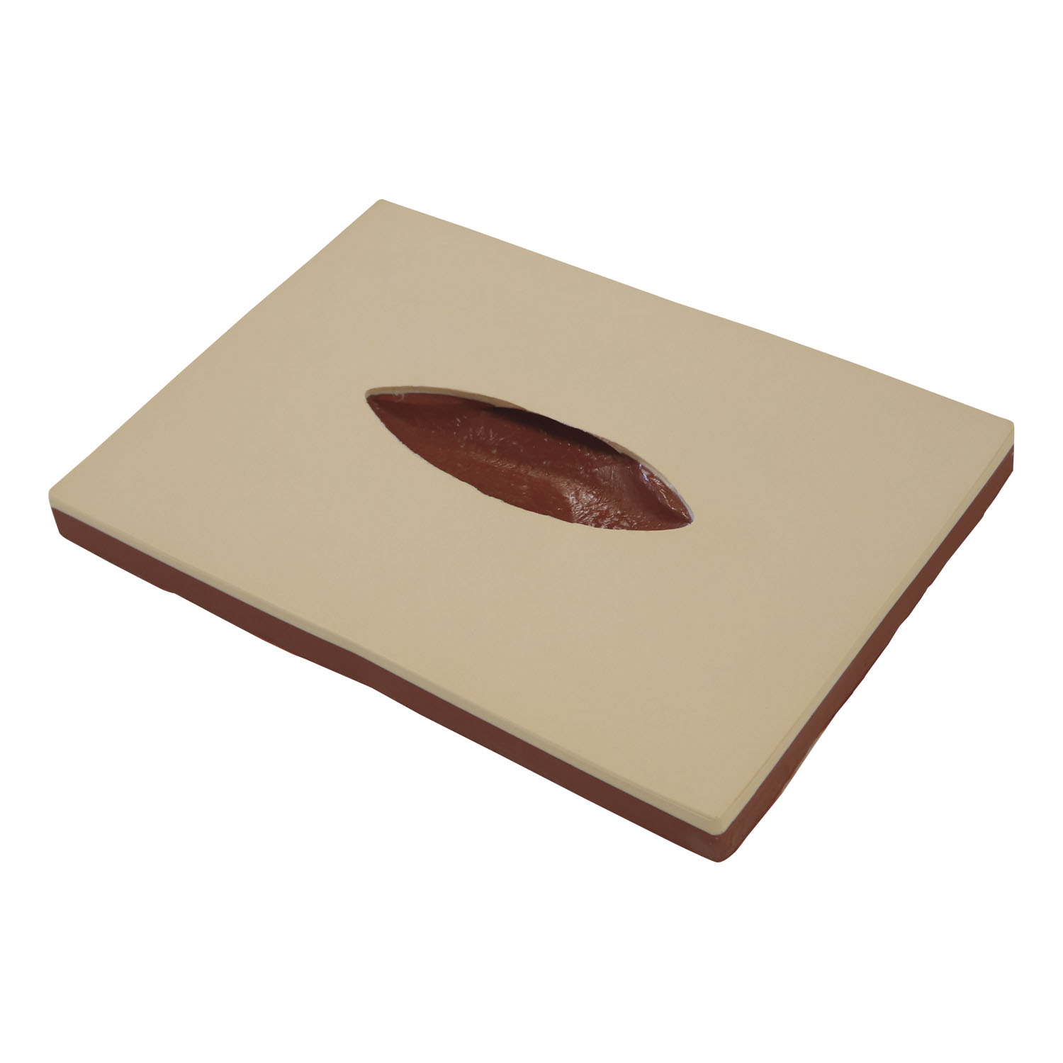 創傷管理モデル BDR-A4BDR-A4(24-8253-00)【レジーナ】(販売単位:1)(レジーナ)[]