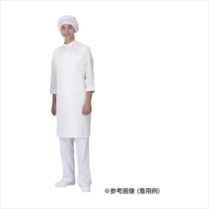 Dr．Earth エプロン 首掛け E3500-0 オフホワイト プラスチックエプロン 24-9611-00E3500-0【