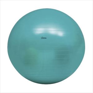 ボディボール75 H7263 バランスボール 25-2059-03Φ750mm【トーエイライト】(H7263)(25-2059-