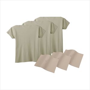 ドレーン部処置モデル BDP-182 25-2416-00インナーウェア(フリーサイズ)【レジーナ】(BDP-182)(25-