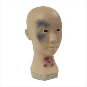 メディカルメイクモデル BMK-300 25-2418-00【レジーナ】(BMK-300)(25-2418-00)【1単位】(