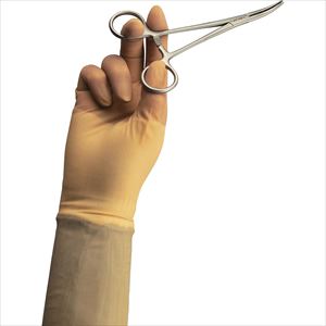 プロテキシス ラテックス マイクロ 2D72NT60X 6.0 50ソウイリ 手術用手袋 25-2710-016【カーディナルヘ プロテキシス ラテックス マイクロ 2D72NT60X 6.0 50ソウイリ 手術用手袋 25-2710-016【カーディナルヘ