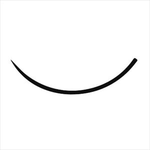 エルプ眼科用丸針 バネ穴 NO．0 10イリ 縫合針 25-3425-03No.０【秋山製作所】(ACR0D)(25-342