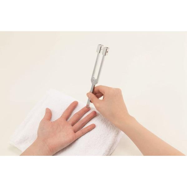 振動覚音叉ｾｯﾄSOT-8641 ㈱ﾆﾁｵﾝ(sa05330200)【送料ランク：A】【式】(酒井医療)