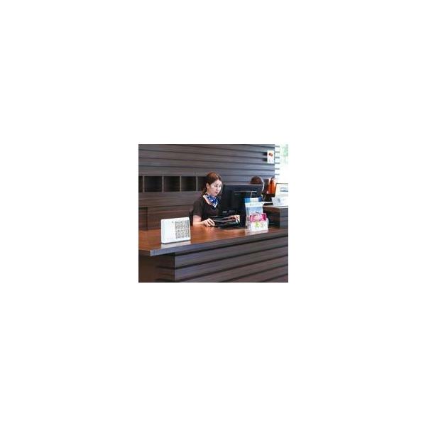 AirnessⅡ(ｴｱﾈｽⅡ)ANS-2201【台】(sa14Q45931)【送料ランク：A】【台】